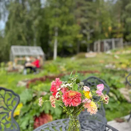 Kolin Mattila *