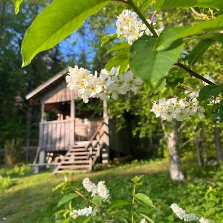 Bed & Breakfast Kolin Mattila *