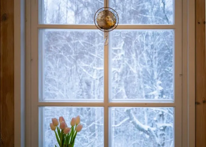 住宿加早餐酒店 Kolin Mattila *