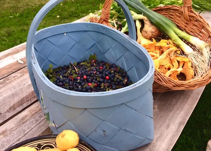 Kolin Mattila 住宿加早餐酒店 *