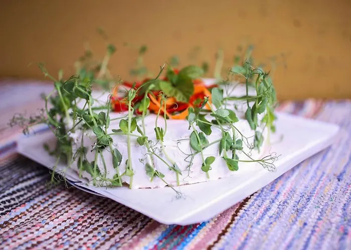 Kolin Mattila 住宿加早餐酒店 *